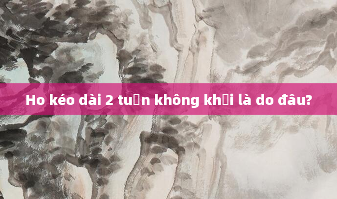Ho kéo dài 2 tuần không khỏi là do đâu?