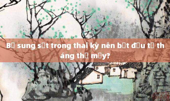 Bổ sung sắt trong thai kỳ nên bắt đầu từ tháng thứ mấy?