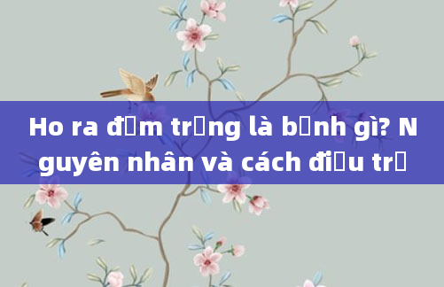 Ho ra đờm trắng là bệnh gì? Nguyên nhân và cách điều trị
