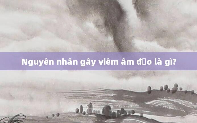 Nguyên nhân gây viêm âm đạo là gì?