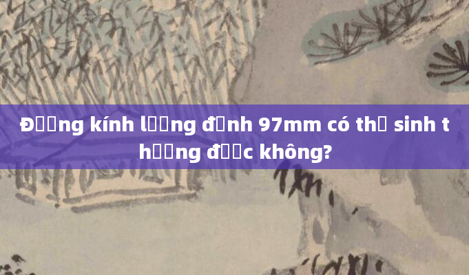 Đường kính lưỡng đỉnh 97mm có thể sinh thường được không?
