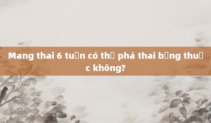 Mang thai 6 tuần có thể phá thai bằng thuốc không?