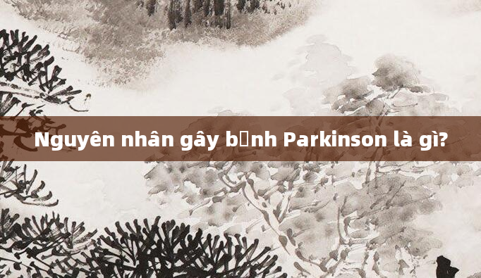 Nguyên nhân gây bệnh Parkinson là gì?