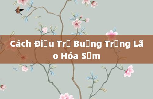Cách Điều Trị Buồng Trứng Lão Hóa Sớm
