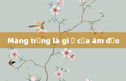 Màng trắng là gì ở cửa âm đạo