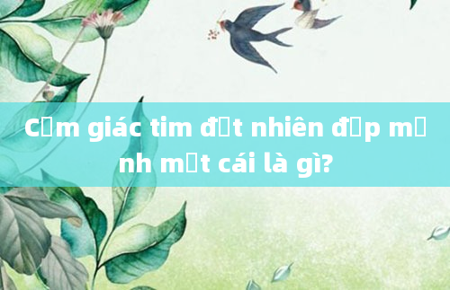 Cảm giác tim đột nhiên đập mạnh một cái là gì?
