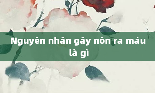 Nguyên nhân gây nôn ra máu là gì