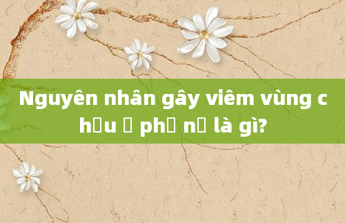 Nguyên nhân gây viêm vùng chậu ở phụ nữ là gì?