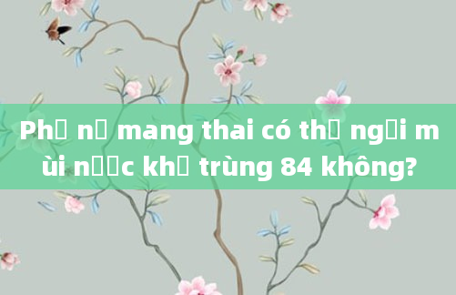 Phụ nữ mang thai có thể ngửi mùi nước khử trùng 84 không?