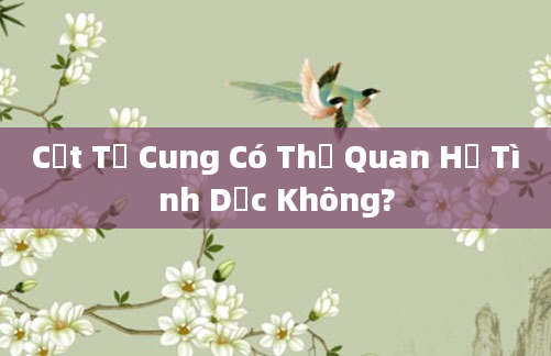 Cắt Tử Cung Có Thể Quan Hệ Tình Dục Không?
