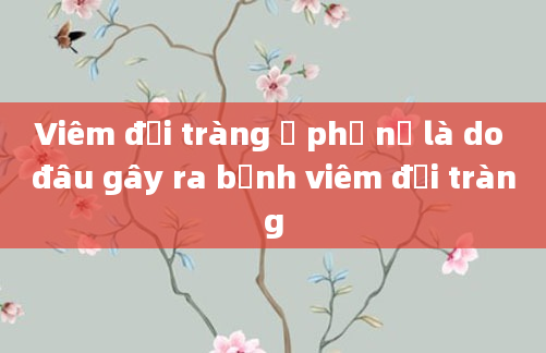 Viêm đại tràng ở phụ nữ là do đâu gây ra bệnh viêm đại tràng