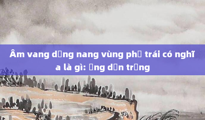 Âm vang dạng nang vùng phụ trái có nghĩa là gì: Ống dẫn trứng