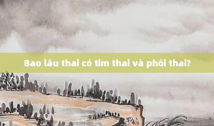 Bao lâu thai có tim thai và phôi thai?