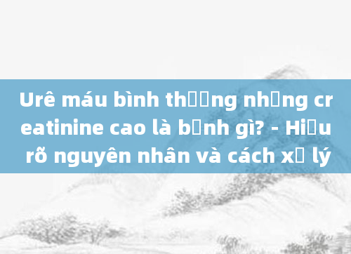 Urê máu bình thường nhưng creatinine cao là bệnh gì? - Hiểu rõ nguyên nhân và cách xử lý