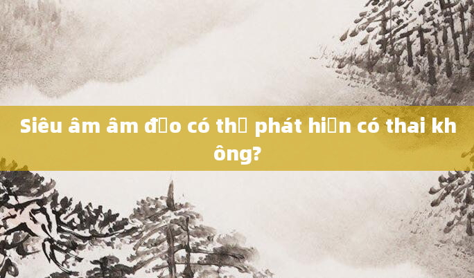 Siêu âm âm đạo có thể phát hiện có thai không?