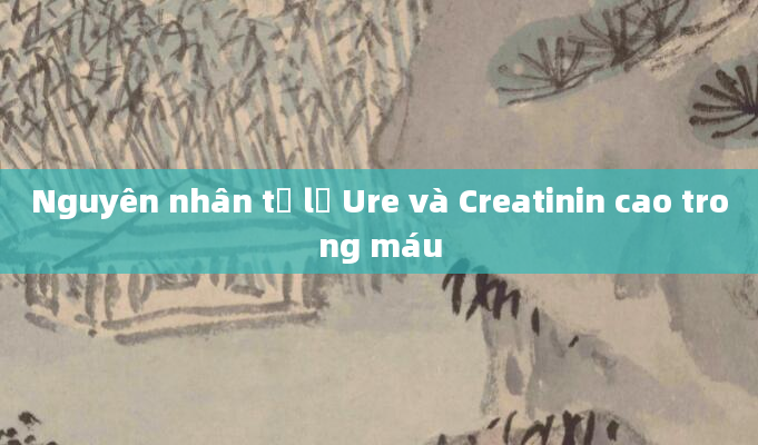 Nguyên nhân tỷ lệ Ure và Creatinin cao trong máu