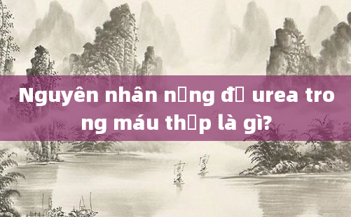 Nguyên nhân nồng độ urea trong máu thấp là gì?
