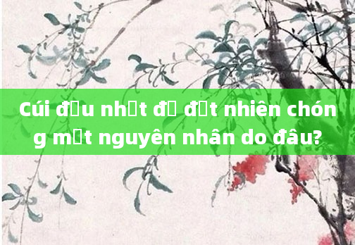 Cúi đầu nhặt đồ đột nhiên chóng mặt nguyên nhân do đâu?