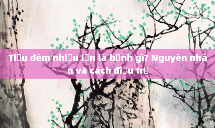 Tiểu đêm nhiều lần là bệnh gì? Nguyên nhân và cách điều trị