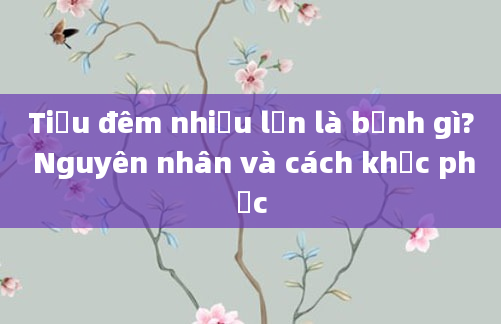Tiểu đêm nhiều lần là bệnh gì? Nguyên nhân và cách khắc phục