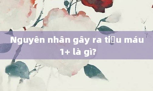 Nguyên nhân gây ra tiểu máu 1+ là gì?