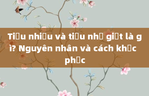 Tiểu nhiều và tiểu nhỏ giọt là gì? Nguyên nhân và cách khắc phục