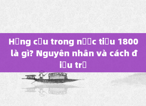 Hồng cầu trong nước tiểu 1800 là gì? Nguyên nhân và cách điều trị