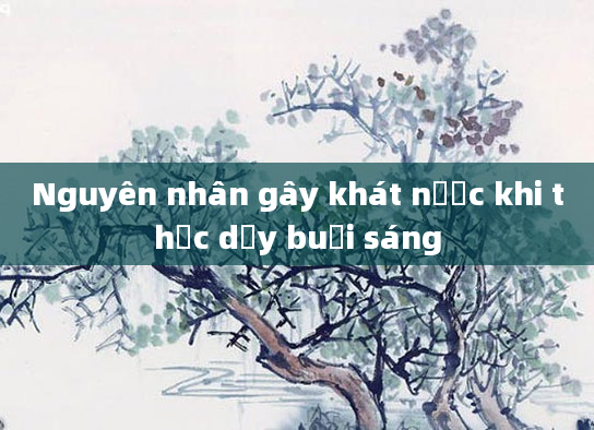 Nguyên nhân gây khát nước khi thức dậy buổi sáng