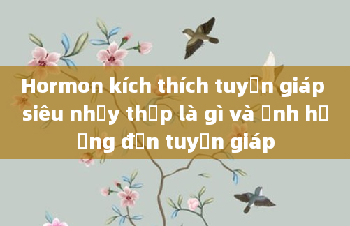 Hormon kích thích tuyến giáp siêu nhạy thấp là gì và ảnh hưởng đến tuyến giáp