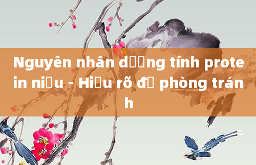 Nguyên nhân dương tính protein niệu - Hiểu rõ để phòng tránh