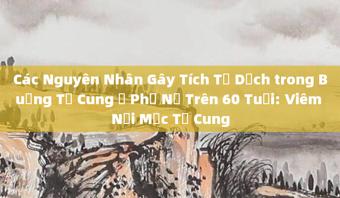 Các Nguyên Nhân Gây Tích Tụ Dịch trong Buồng Tử Cung ở Phụ Nữ Trên 60 Tuổi: Viêm Nội Mạc Tử Cung
