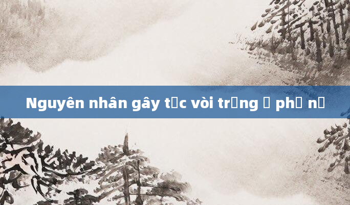 Nguyên nhân gây tắc vòi trứng ở phụ nữ