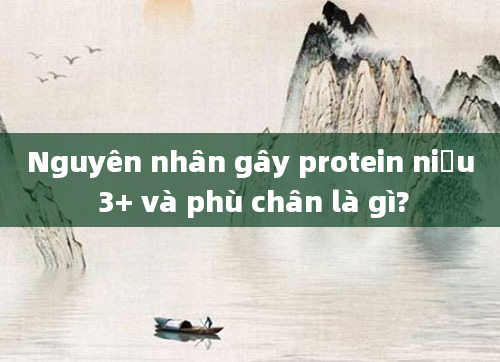 Nguyên nhân gây protein niệu 3+ và phù chân là gì?