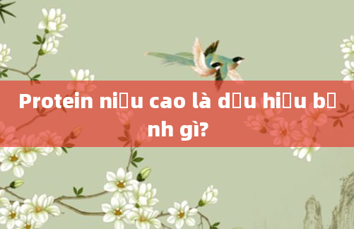 Protein niệu cao là dấu hiệu bệnh gì?