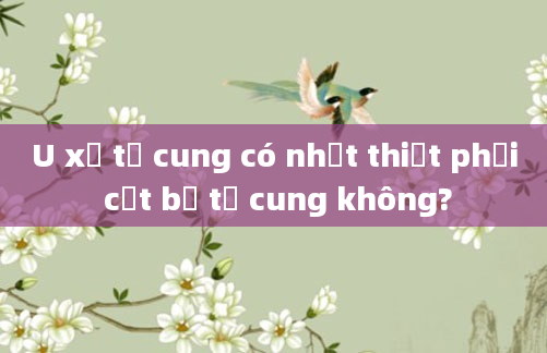U xơ tử cung có nhất thiết phải cắt bỏ tử cung không?
