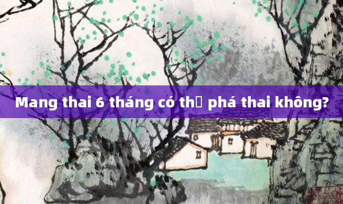 Mang thai 6 tháng có thể phá thai không?