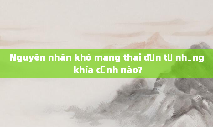 Nguyên nhân khó mang thai đến từ những khía cạnh nào?