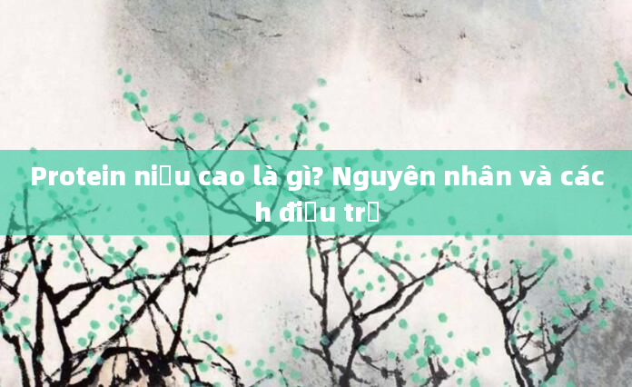 Protein niệu cao là gì? Nguyên nhân và cách điều trị