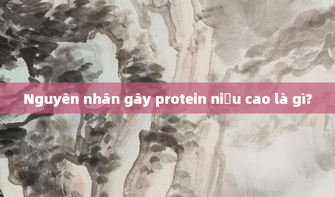 Nguyên nhân gây protein niệu cao là gì?