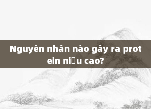 Nguyên nhân nào gây ra protein niệu cao?