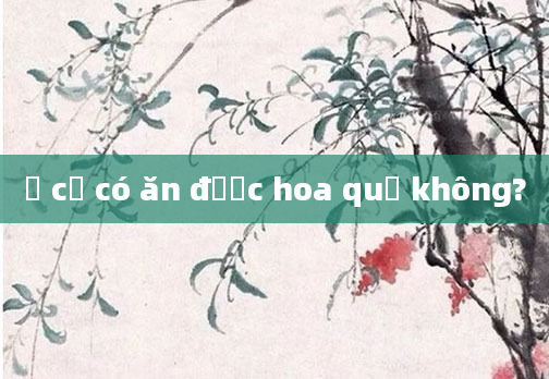 Ở cữ có ăn được hoa quả không?
