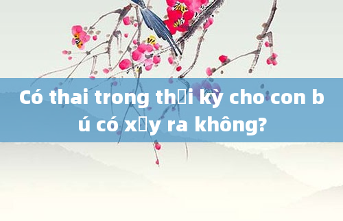 Có thai trong thời kỳ cho con bú có xảy ra không?