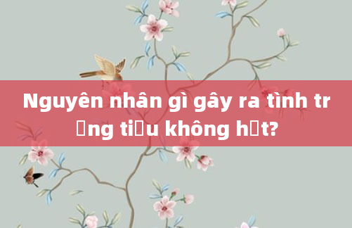 Nguyên nhân gì gây ra tình trạng tiểu không hết?