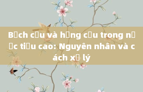 Bạch cầu và hồng cầu trong nước tiểu cao: Nguyên nhân và cách xử lý