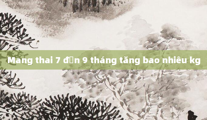 Mang thai 7 đến 9 tháng tăng bao nhiêu kg