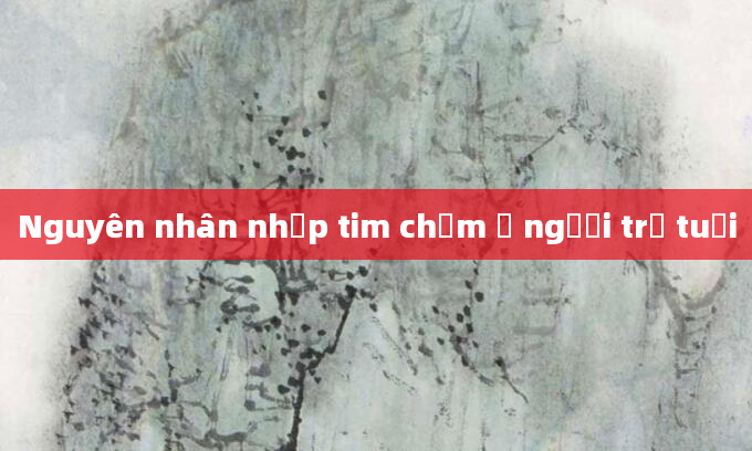 Nguyên nhân nhịp tim chậm ở người trẻ tuổi