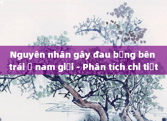 Nguyên nhân gây đau bụng bên trái ở nam giới - Phân tích chi tiết