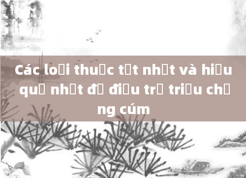 Các loại thuốc tốt nhất và hiệu quả nhất để điều trị triệu chứng cúm