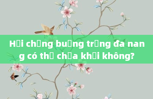 Hội chứng buồng trứng đa nang có thể chữa khỏi không?