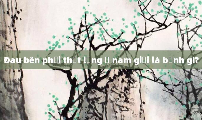 Đau bên phải thắt lưng ở nam giới là bệnh gì?